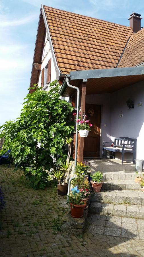 Urlaub Im Elsass Appartement Artolsheim Buitenkant foto